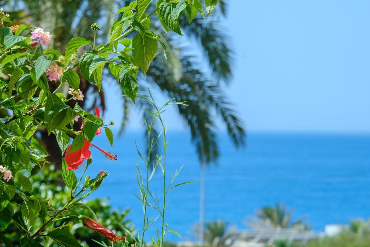 Beautiful Torreoceano 92, Pool, Beach Access ラ・カラ・デ・ミハス エクステリア 写真